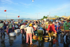 Hoi An Morning Fish Market