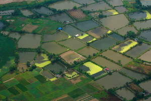 Red River Delta View from Helicopter