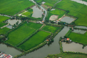 Red River Delta View from Helicopter