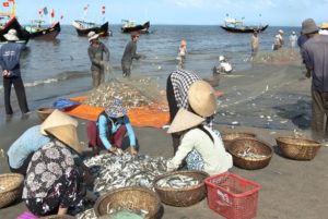Tan Doai Fish Market in Quan Lan Island